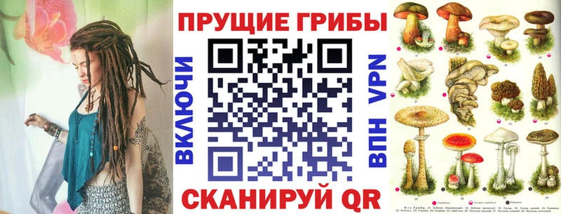hydra зеркало  Шагонар  Псилоцибиновые грибы GOLDEN TEACHER 
